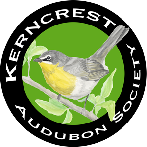 Kerncrest Audubon